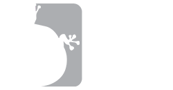 Chiropractic Dickson TN Fixx Regenerative Solutions